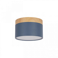 Накладной светодиодный светильник Loft IT Grape 10162 Blue