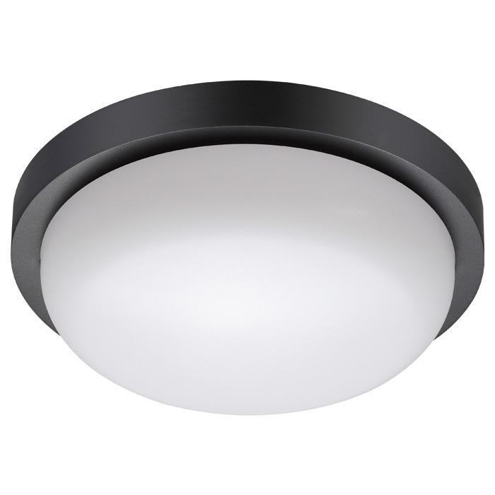    Novotech Street Opal 358017