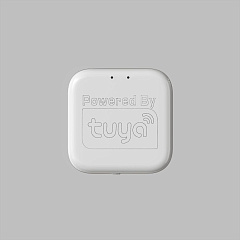 WIFI конвертер Denkirs Smart Control DK7400-WF