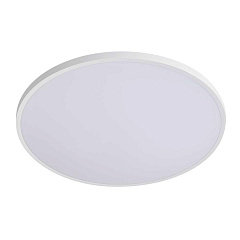 Светильник светодиодный настенно-потолочный Arco Eco Lightstar 225740