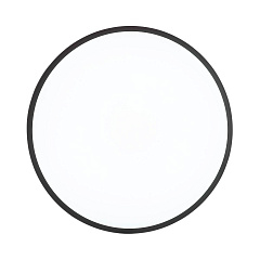 Настенно-потолочный светильник Sonex Tan Smalli 3012/DL