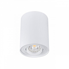 Точечный светильник Kanlux BORD DLP-50-W 22551